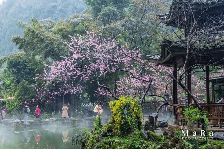 产检时发现孩子畸形，你会怎么办？游戏画面